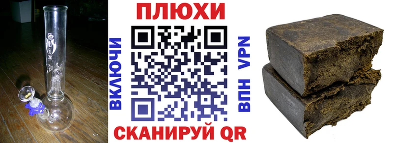 Купить  Карасук  ГАШ Premium 