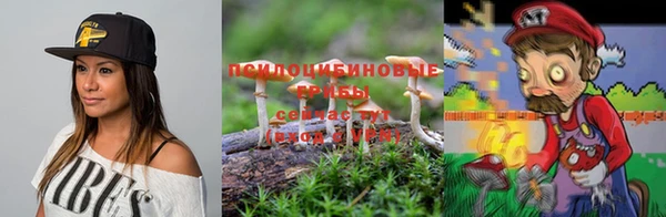 дмт Елизово