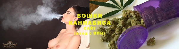 дмт Елизово
