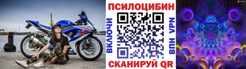 Псилоцибиновые грибы Cubensis  Купить закладки  Карасук 